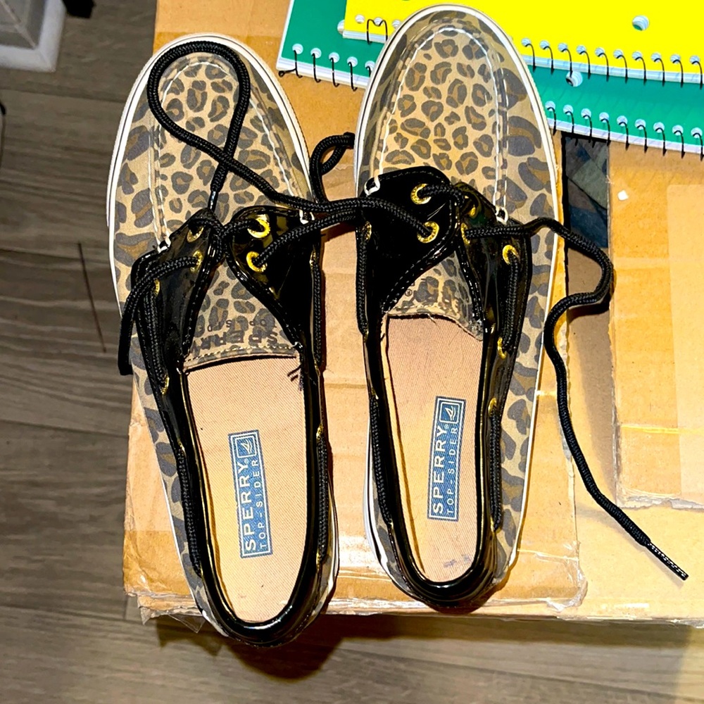 cheetah sperrys
